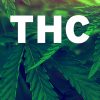 THC Anfängermischung 3g