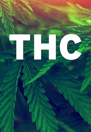 THC Anfängermischung 3g